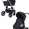 Универсальная коляска Rant MOWbaby Zoom PU (2 в 1, gold black)