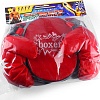 Детский набор для бокса Darvish SR-T-1361