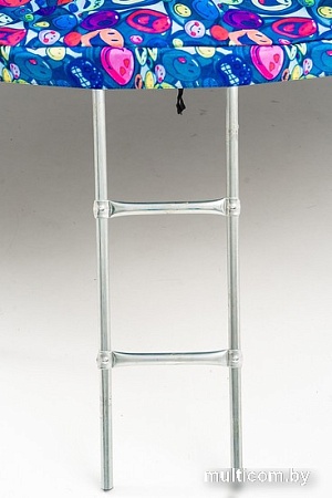 Батут Calviano Inside Master Smile 312 см - 10ft (внутренняя сетка, с лестницей)