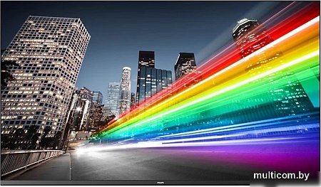 Информационная панель Philips 55BFL2214/12