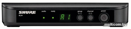 Микрофон Shure BLX24/PG58