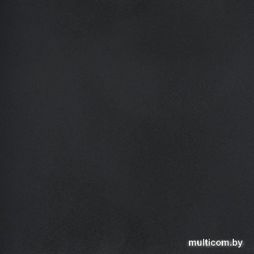 Кухонная мойка Wisent 600-26W (с сифоном GER013)