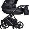 Универсальная коляска Riko Basic Delta Ecco (2 в 1, 15/black)