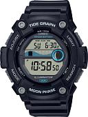 Наручные часы Casio WS-1300H-1A