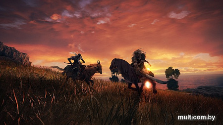 Elden Ring для PlayStation 4