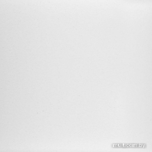 Кухонная мойка Wisent 600-28W (с сифоном GER013)