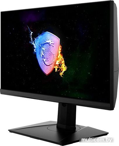 Игровой монитор MSI Oculux NXG253R