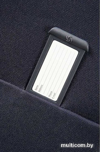 Спиннер Samsonite Base Boost 66 см [38N-41004]