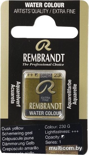 Rembrandt 230 05862301 (гранулированный желтый, кювета)