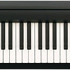 Цифровое пианино Roland FP-10