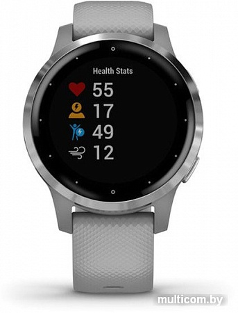 Умные часы Garmin Vivoactive 4s (серый/серебристый)