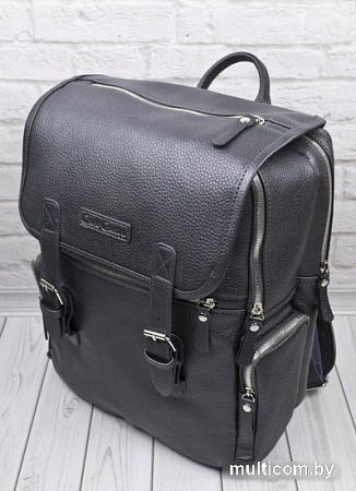 Городской рюкзак Carlo Gattini Premium Santerno 3007-55 (железно-серый)