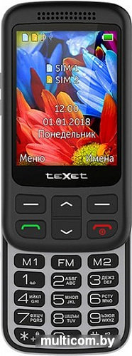 Мобильный телефон TeXet TM-501 (черный)