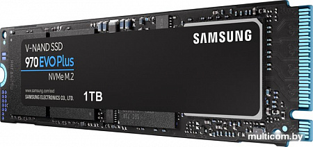 SSD Samsung 970 Evo Plus 1TB MZ-V7S1T0BW