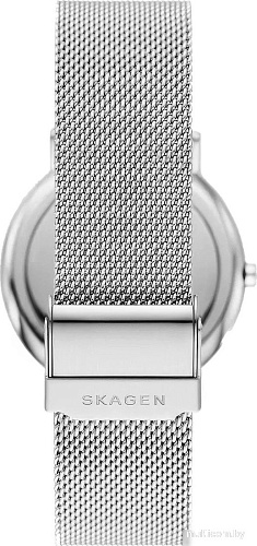 Наручные часы Skagen SKW6904