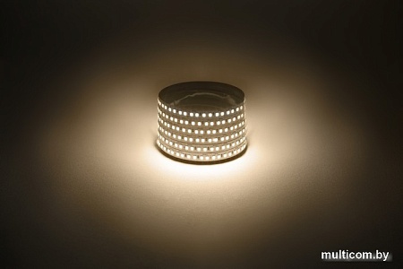 Светодиодная лента ЭРА LS2835 -14,4-180-12-3000K-IP20-1 year-5m теплый белый Б0059903