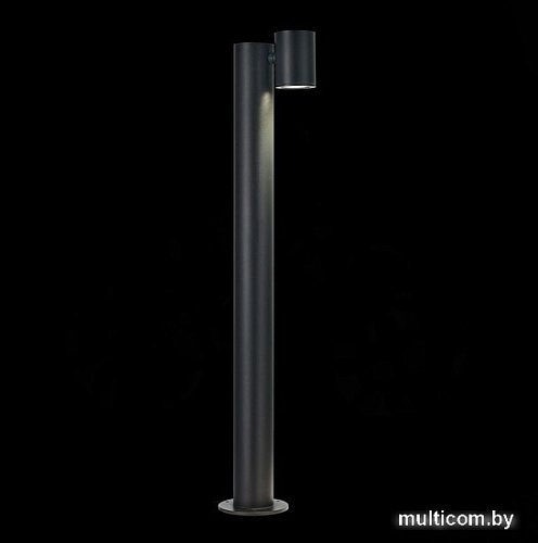 Фонарный столб ST Luce Visioni SL9003.405.01