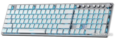 AULA F2090 (серебристый/белый)