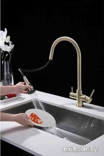 Смеситель Paulmark Lange La214212-BR (бронза)