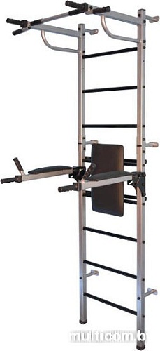 Детский спортивный комплекс Формула здоровья Старт (серебристый/черный)