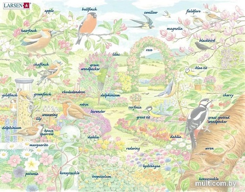Пазл Larsen Птицы в саду FH37