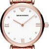 Наручные часы Emporio Armani AR11267