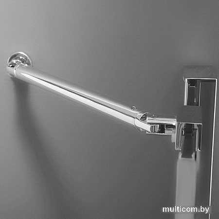 Душевой уголок Roltechnik Elegant Line GDNP1/1200 (правая) [134-120000P-00-02]