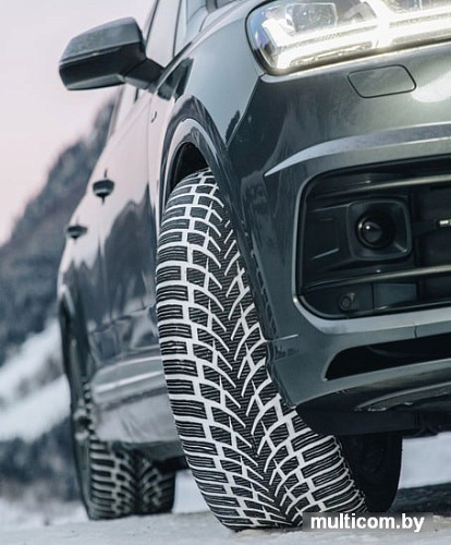 Автомобильные шины Nokian WR SUV 4 235/45R20 100V