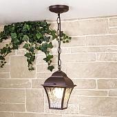 Уличный подвесной светильник Elektrostandard Apus H GL 1009H (шоколад)