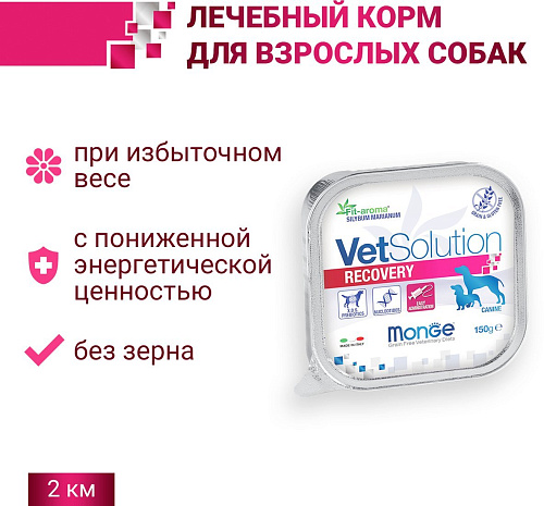 Сухой корм для собак Monge Vet Solution Recovery (150 г)