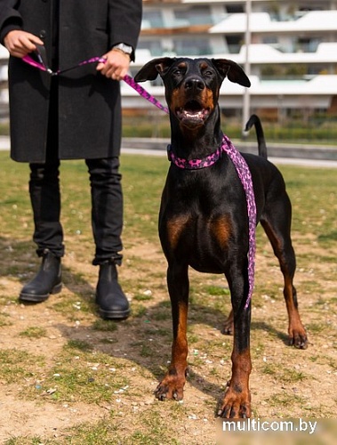 Поводок United Pets Complete Me 2 (S, identity)