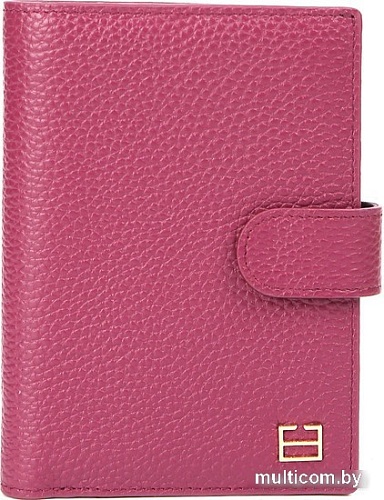 Обложка на документы Fabretti Q09D-10