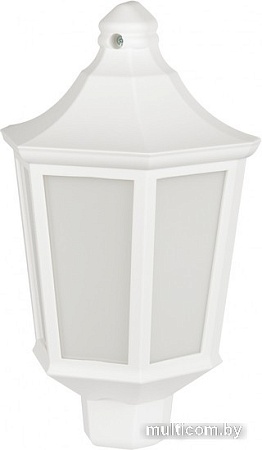 Уличный настенный светильник ЭРА НБУ 06-60-003 Ника Б0061160