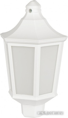 Уличный настенный светильник ЭРА НБУ 06-60-003 Ника Б0061160