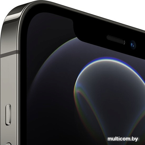 Смартфон Apple iPhone 12 Pro Max 256GB Воcстановленный by Breezy, грейд B (графитовый)