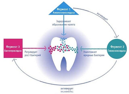 Зубная паста Curaprox Enzycal 1450 75 мл