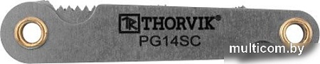Инструмент для нарезания/восстановления резьбы Thorvik PG14SC (14 предметов)