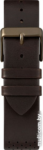 Наручные часы Timex TW2R80100