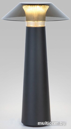 Настольная лампа Elektrostandard Future TL70200 (черный)