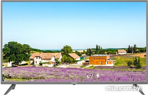 Телевизор Prestigio PTV40SS04Z (серый)
