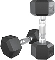 Набор гантелей Unixfit DBHEX5 5 кг