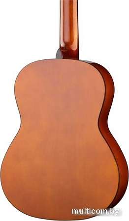 Акустическая гитара Naranda CG120-4/4