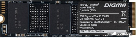 Digma Mega S3 256GB DGSM3256GS33T