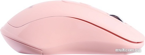 Мышь SmartBuy SBM-282AG-N