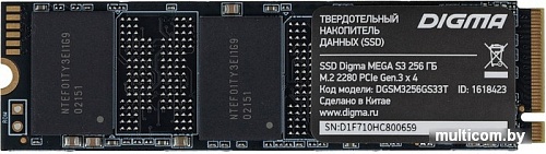 Digma Mega S3 256GB DGSM3256GS33T