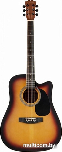 Акустическая гитара Terris TD-045 SB Starter Pack