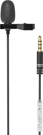 Микрофон Ritmix RCM-110