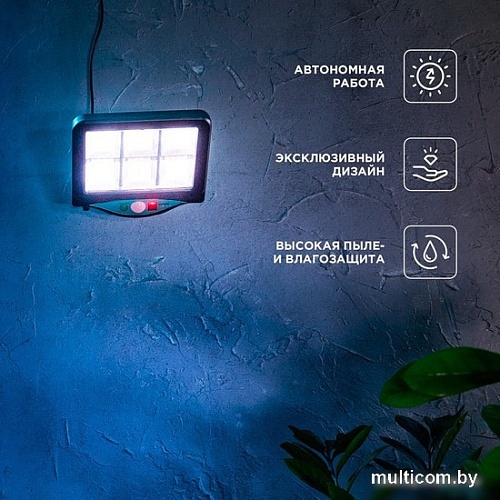 Уличный прожектор Rexant Стрэнд 602-2424