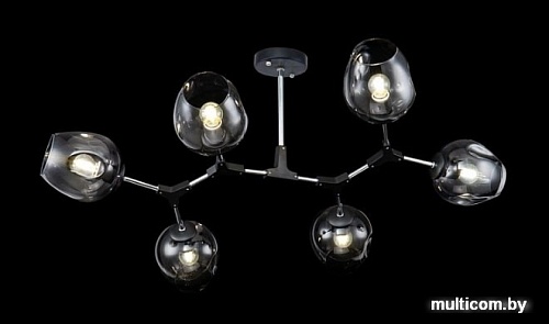 Люстра средней высоты Freya Desi FR5006CL-06B