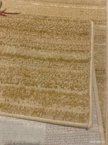 Ковер для жилой комнаты Moldabela Aquarelle Прямоугольник 255 1 41034 (0.8x1.6)